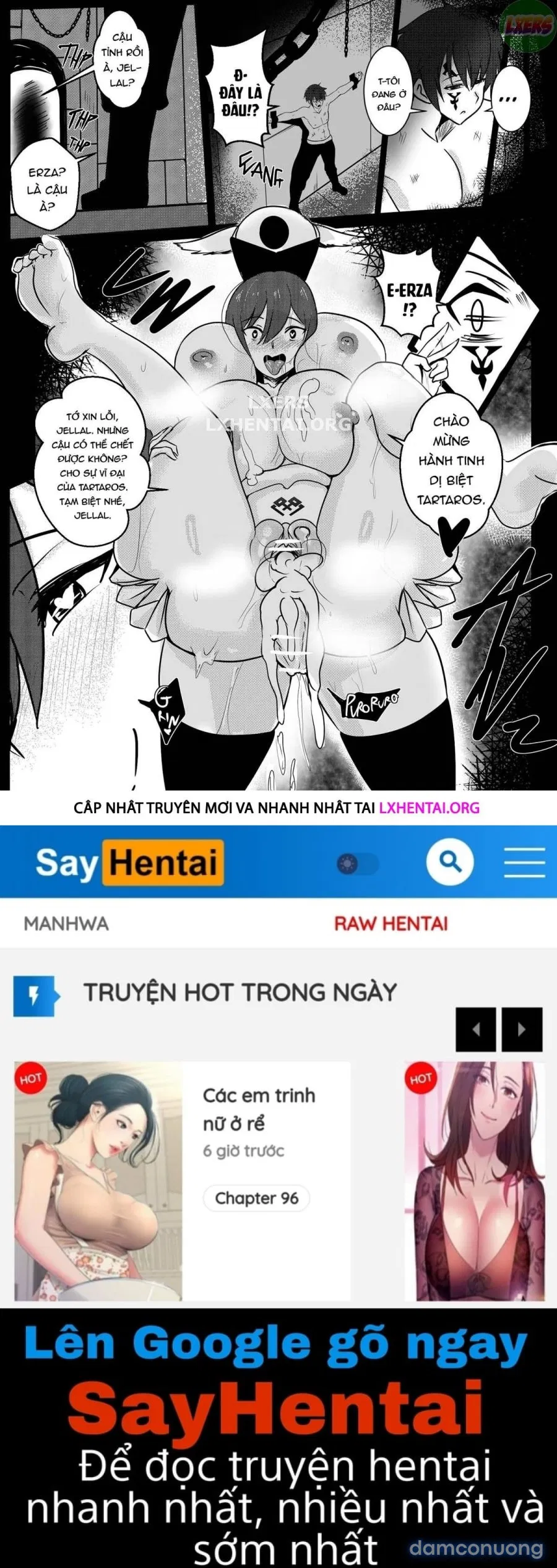 B-Trayal 24 