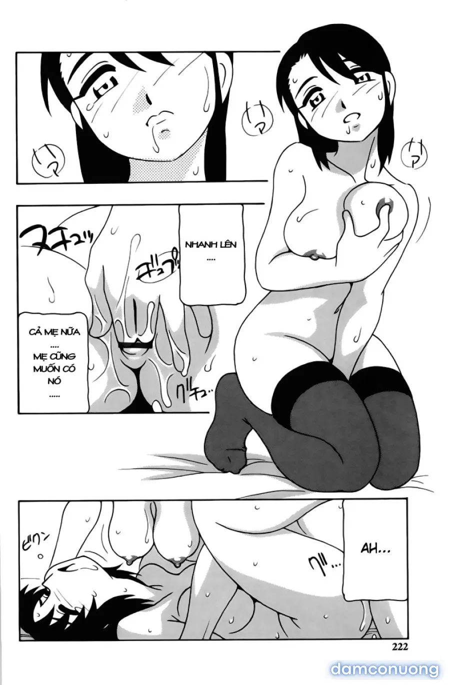 Family Play 
