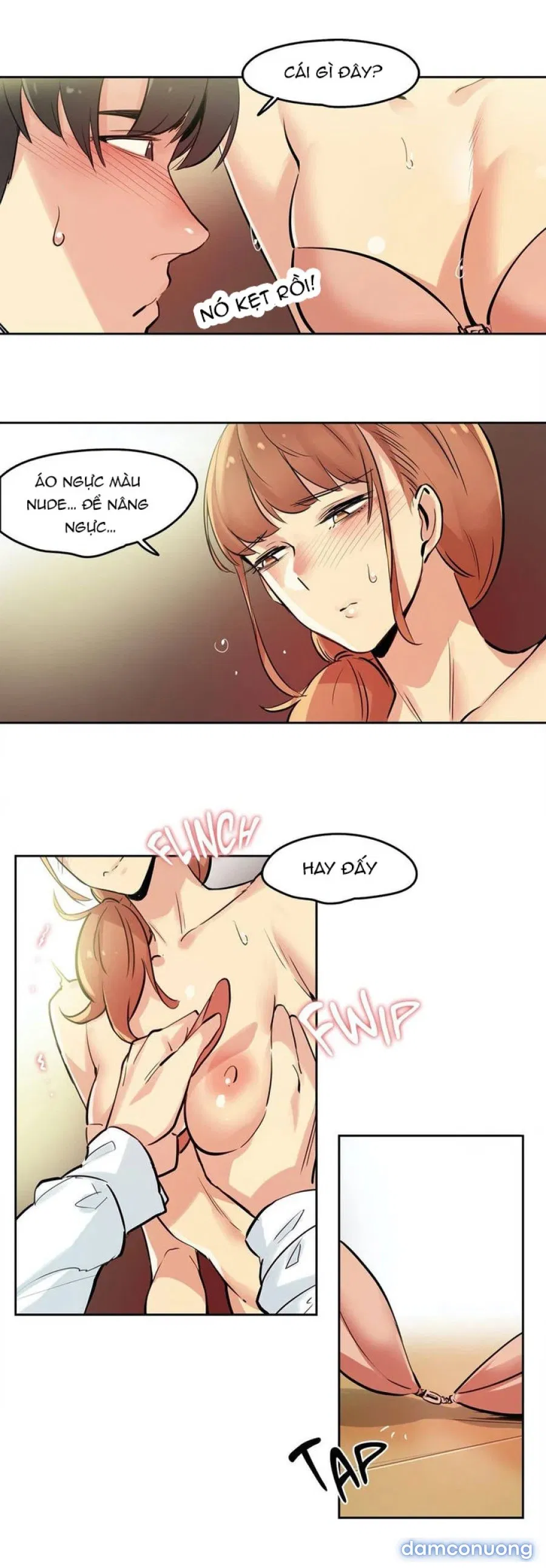 Cha Nuôi 