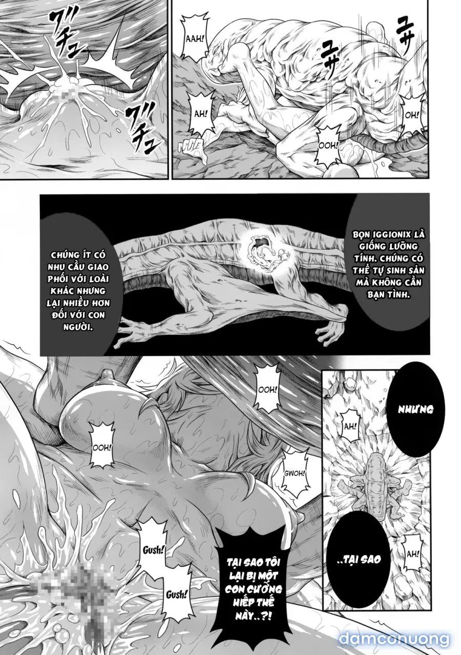 Solo Hunter no Seitai 4 The Fourth Part 