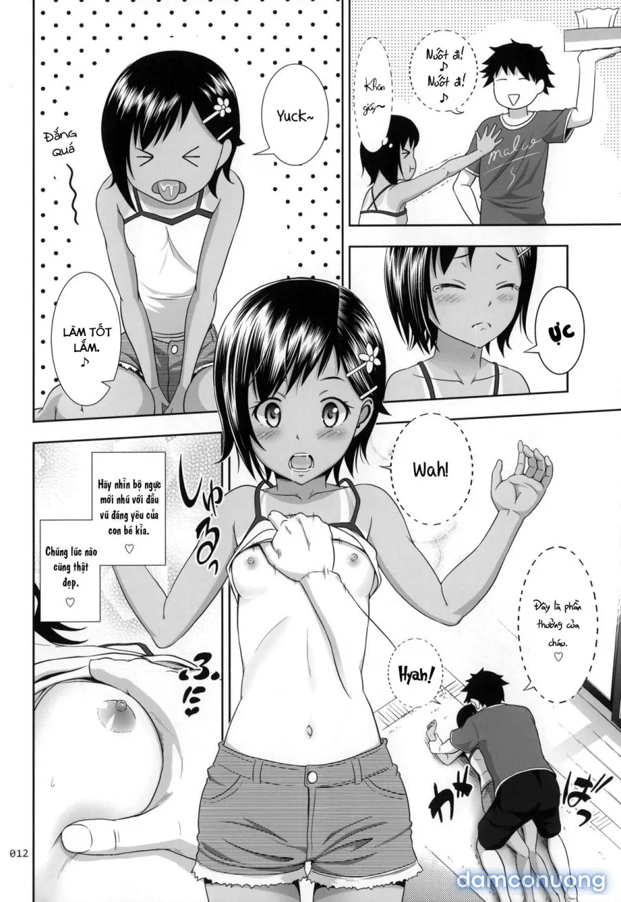Meikko na Syoujo no Ehon 