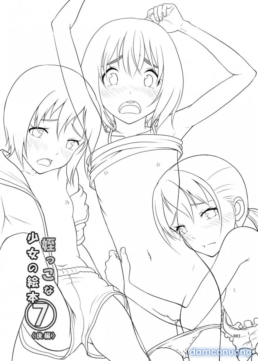 Meikko na Syoujo no Ehon 