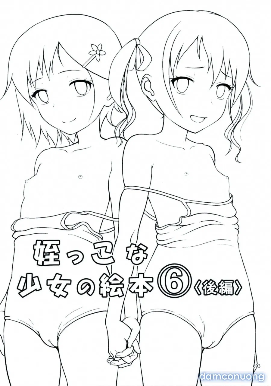 Meikko na Syoujo no Ehon 
