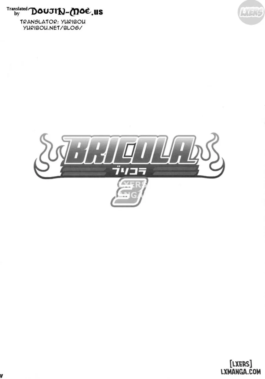 BRICOLA 3 