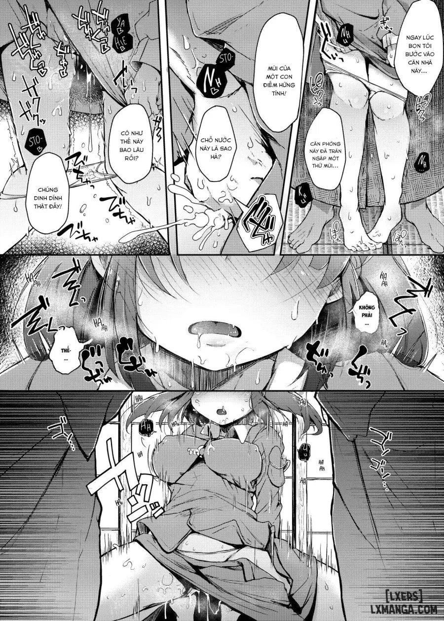 Nitorare III 