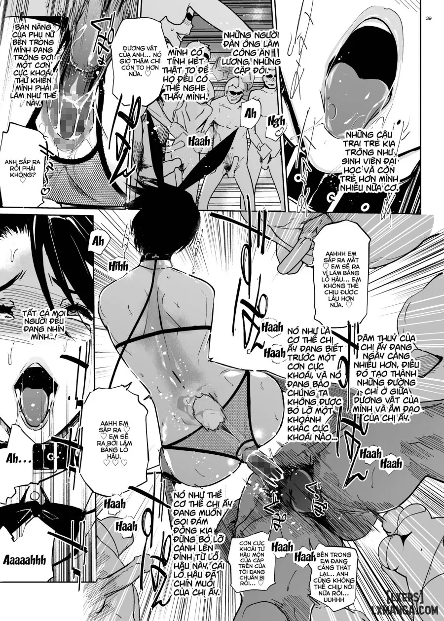 NTR Midnight Pool 