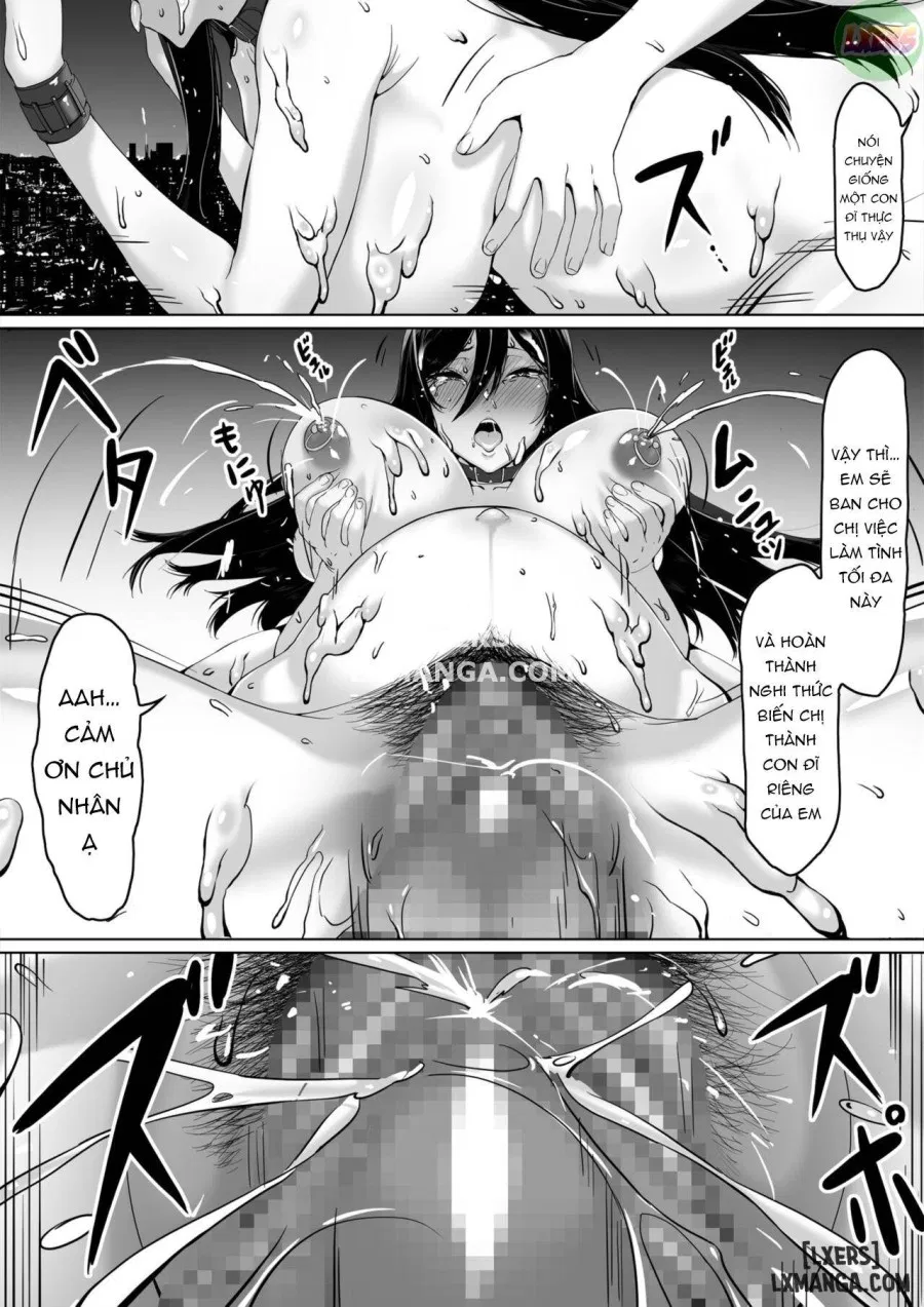 kajibariki BroCon Ane Natsuki Hen 