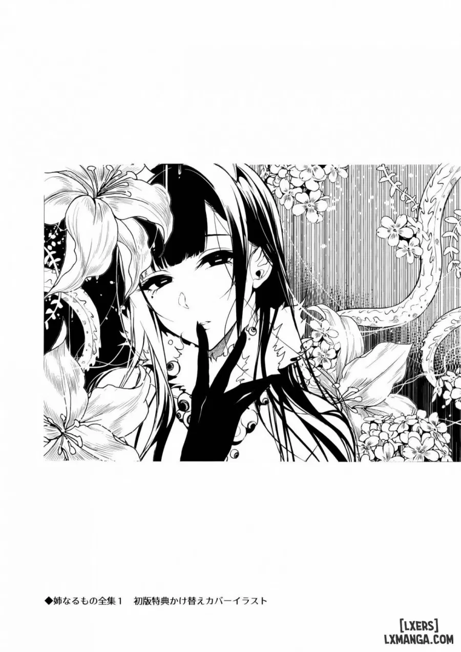 Ane Naru Mono 