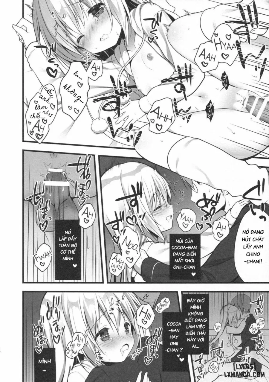 Chino-chan wa Goshuushin 2 