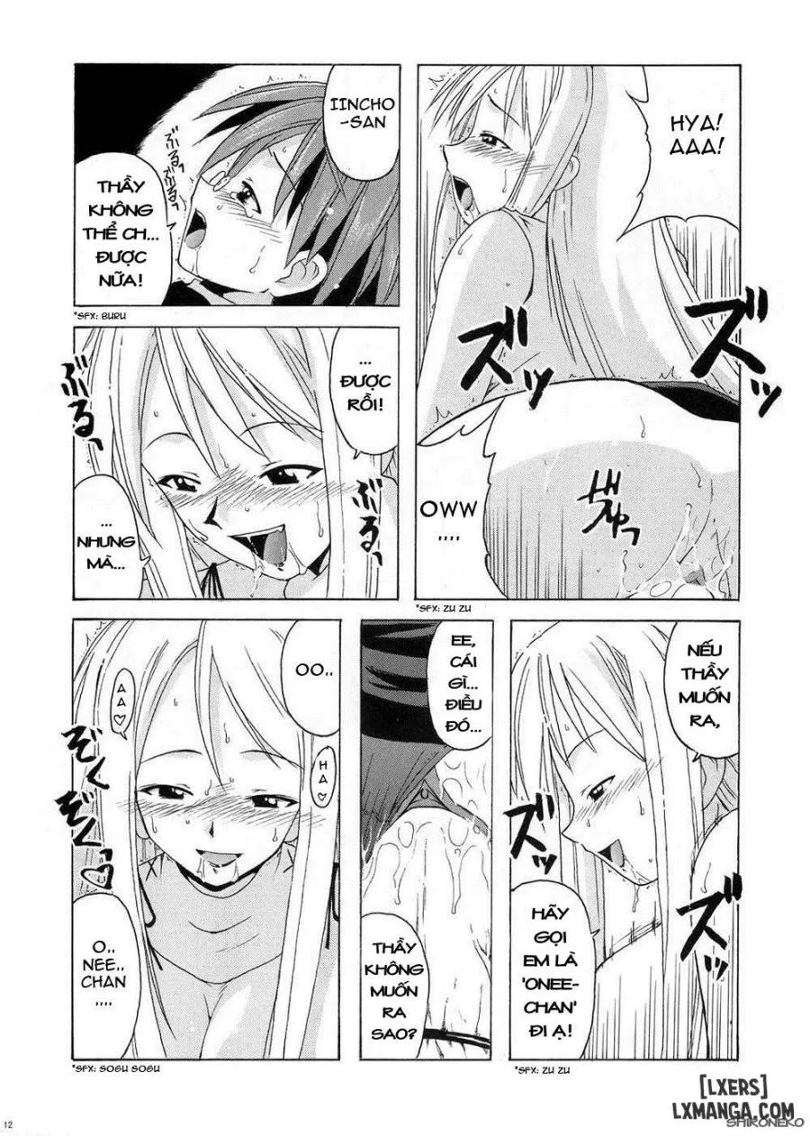If CODE 04 