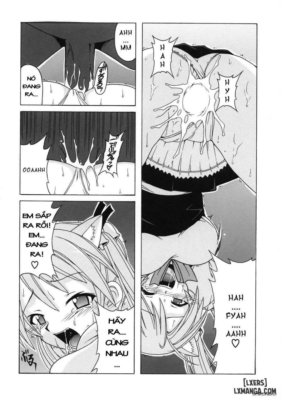 If CODE 07 
