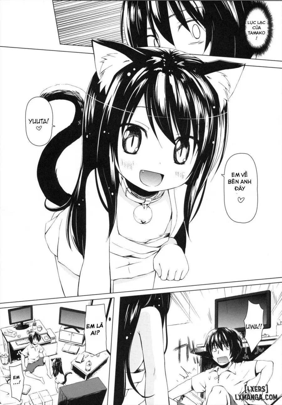 Monokemono Go-ya 