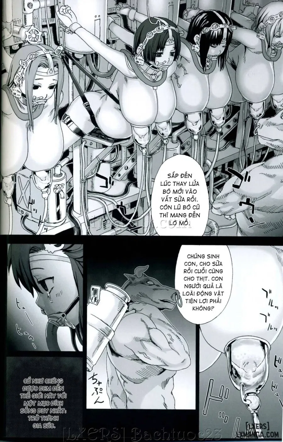 Victim Girls 4 