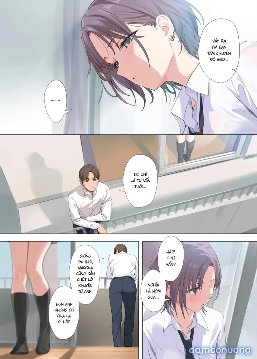 Murasaki no Yume 