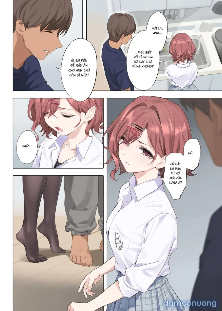 Murasaki no Yume 