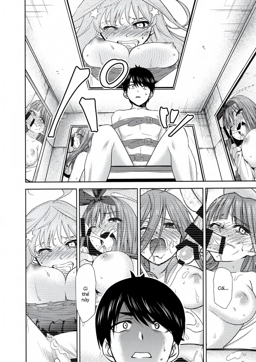 Gotoubun no Seidorei Side-D (Gotoubun no Hanayome) 