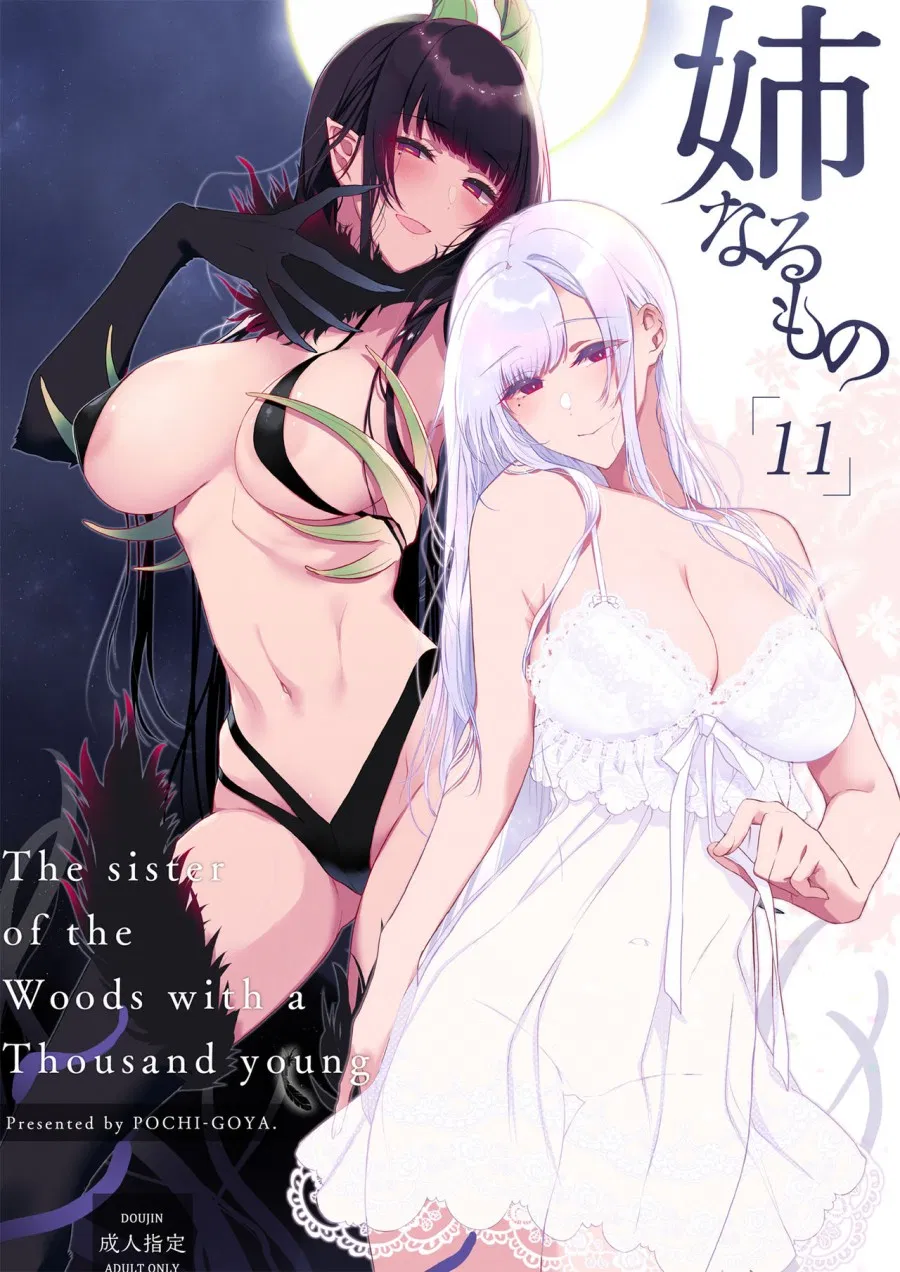 Ane Naru Mono 11 