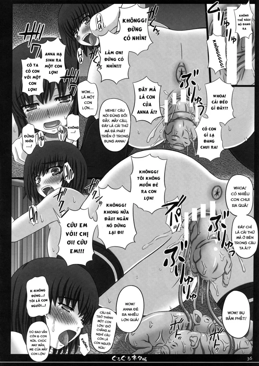 Shiawase no Katachi no Guruguru Netachou 81 