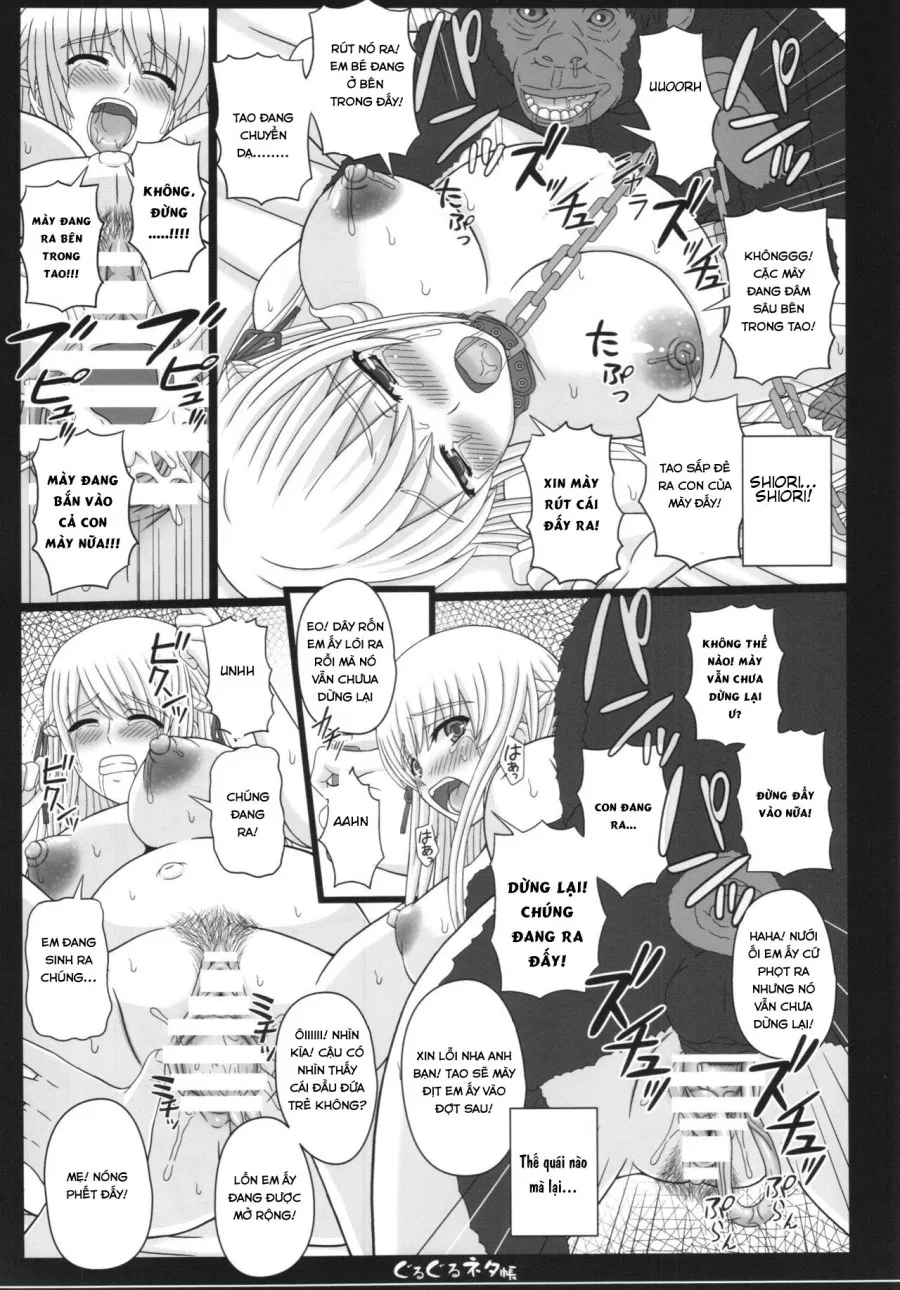 Shiawase no Katachi no Guruguru Netachou 83R + Paper 