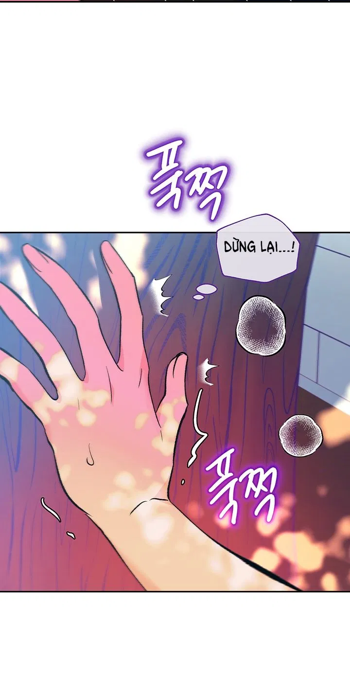 [18+] ÁC MỘNG ĐÊM HÈ 
