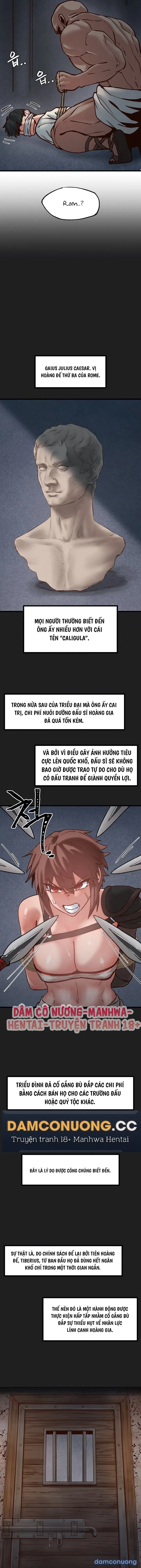 Viện Nghiên Cứu Tình Dục Học Toàn Cầu 