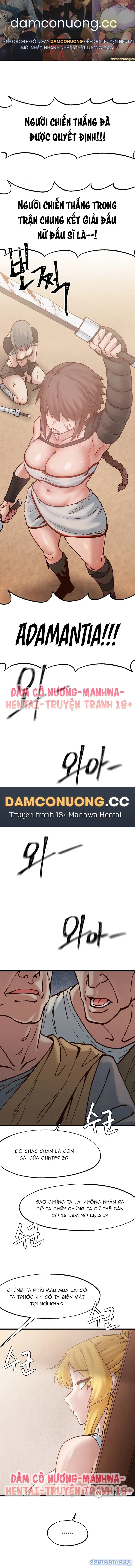 Viện Nghiên Cứu Tình Dục Học Toàn Cầu 