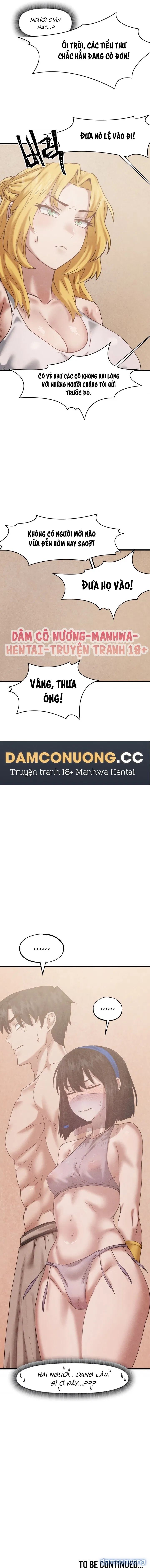 Viện Nghiên Cứu Tình Dục Học Toàn Cầu 