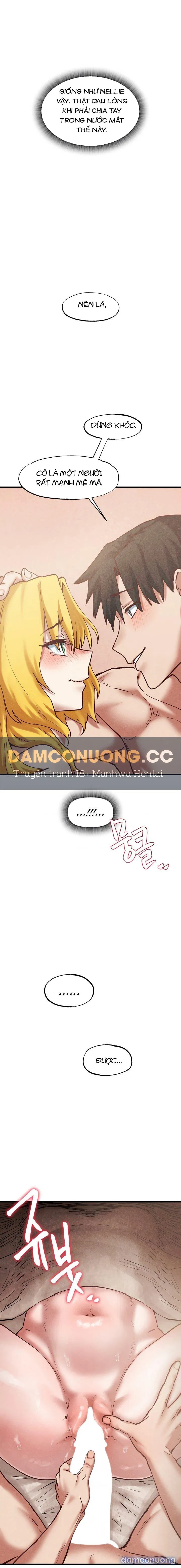 Viện Nghiên Cứu Tình Dục Học Toàn Cầu 