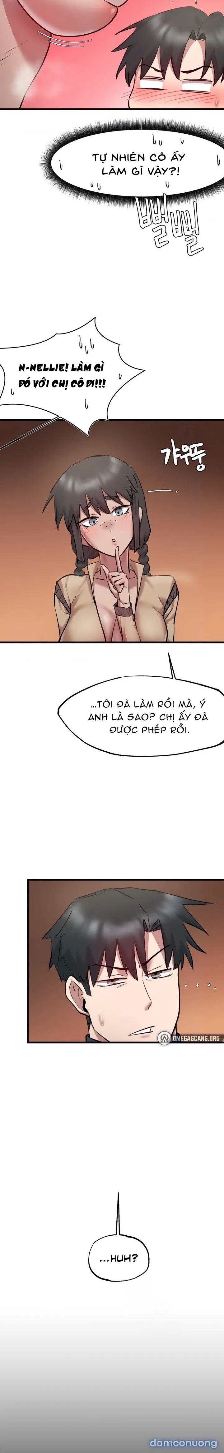 Viện Nghiên Cứu Tình Dục Học Toàn Cầu 
