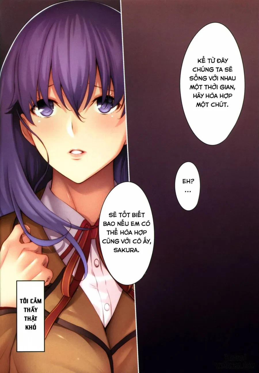 THE BOOK OF SAKURA 