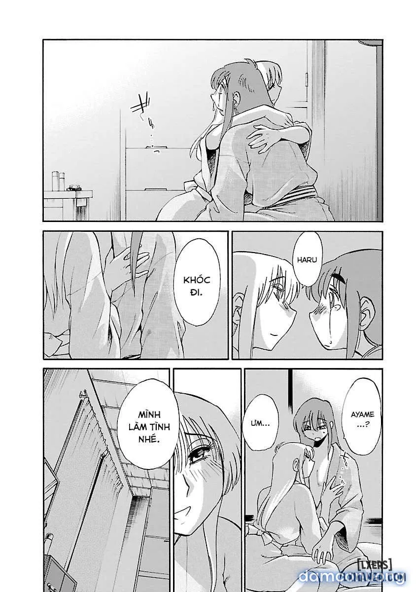 Hirugao 4 