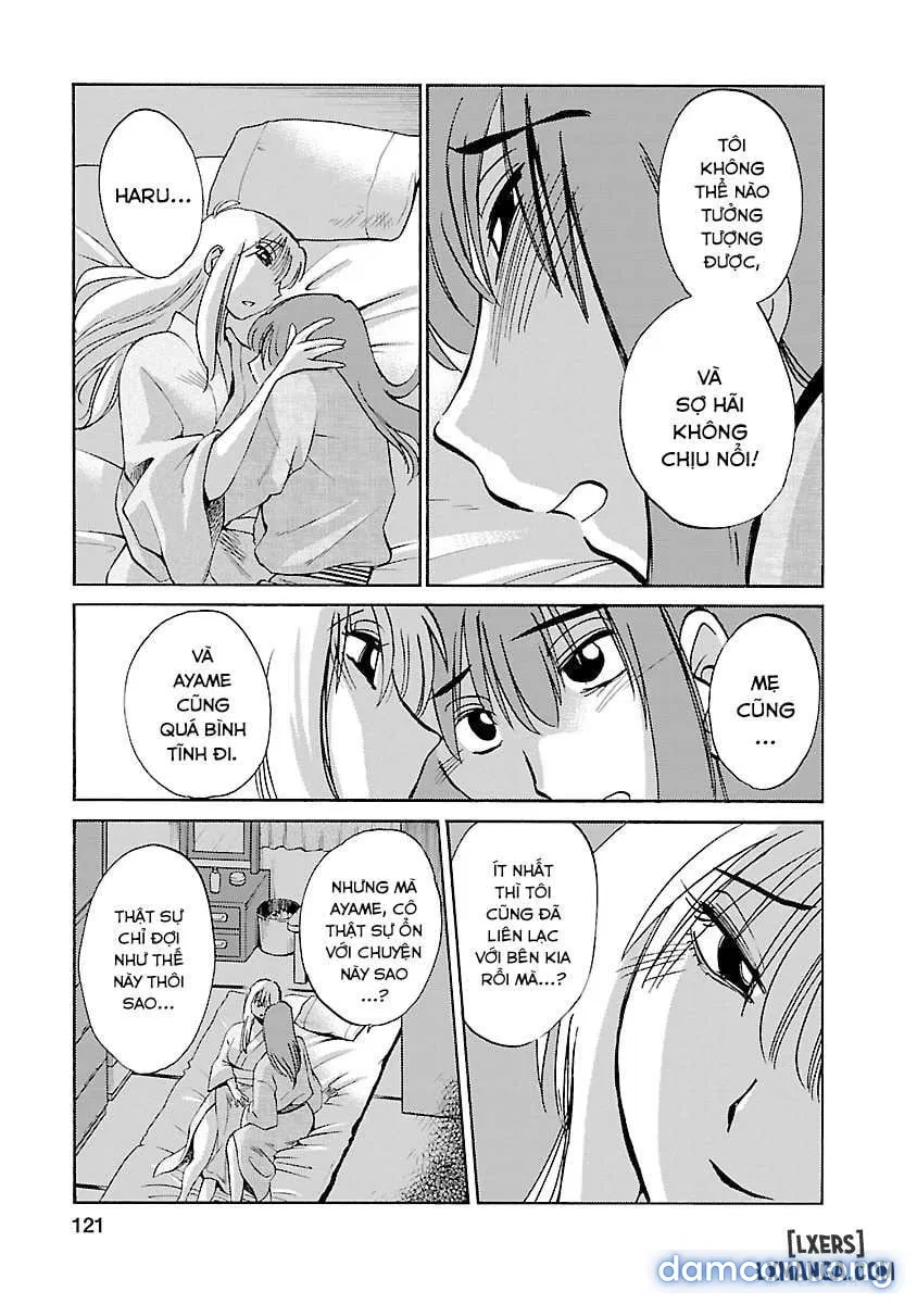 Hirugao 4 