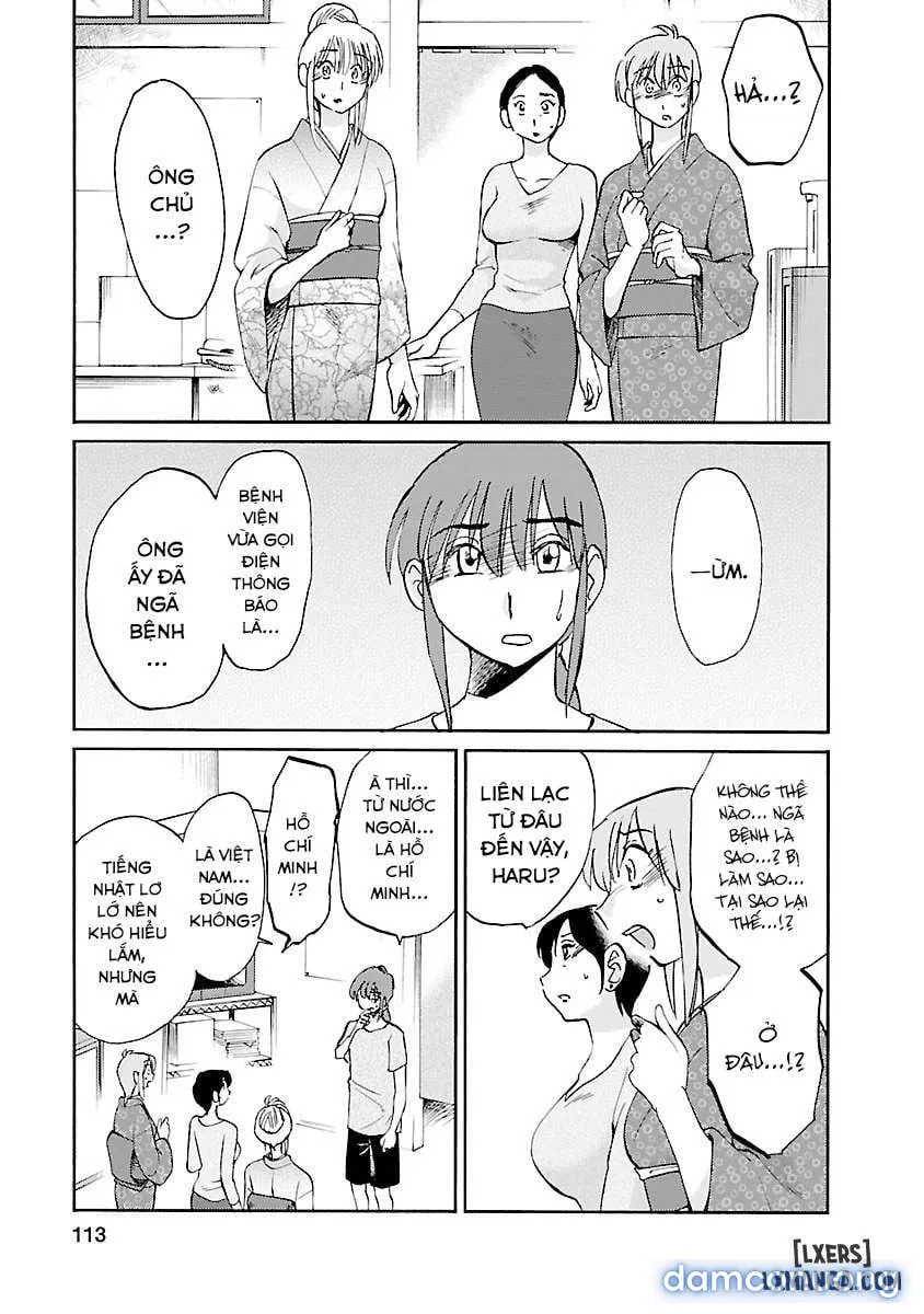 Hirugao 4 