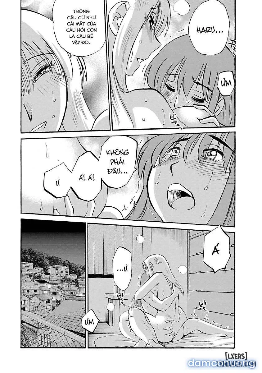 Hirugao 4 