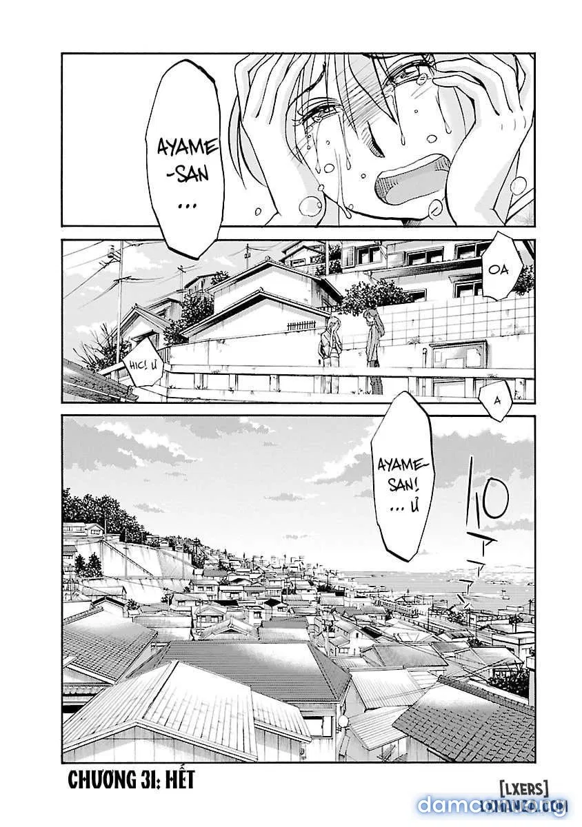Hirugao 4 