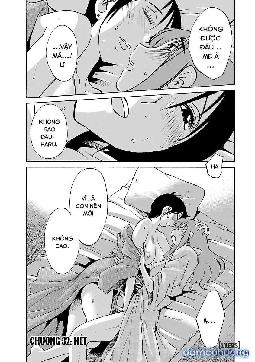 Hirugao 4 