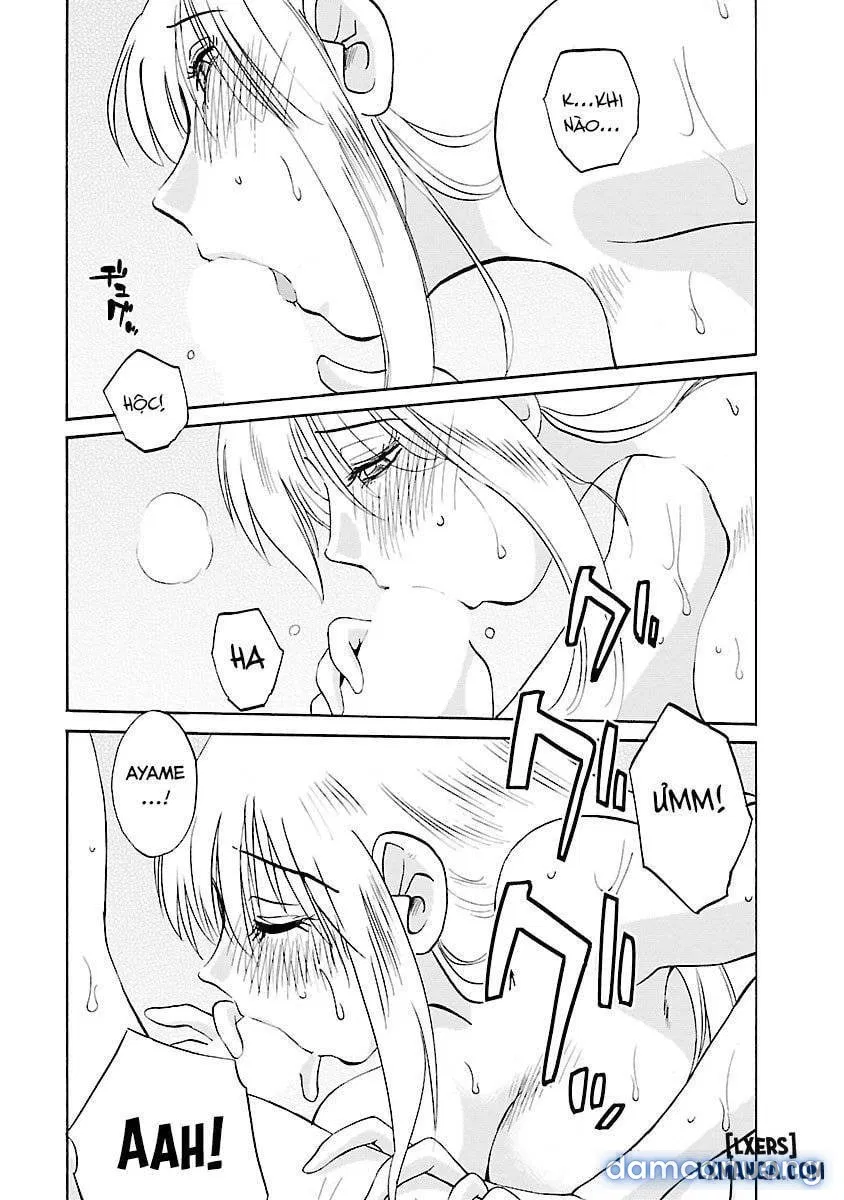 Hirugao 3 