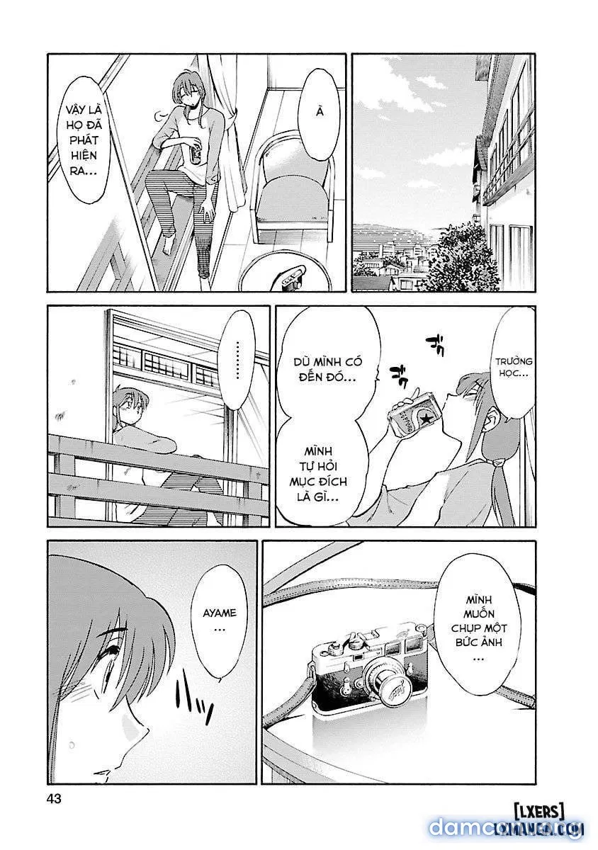 Hirugao 3 
