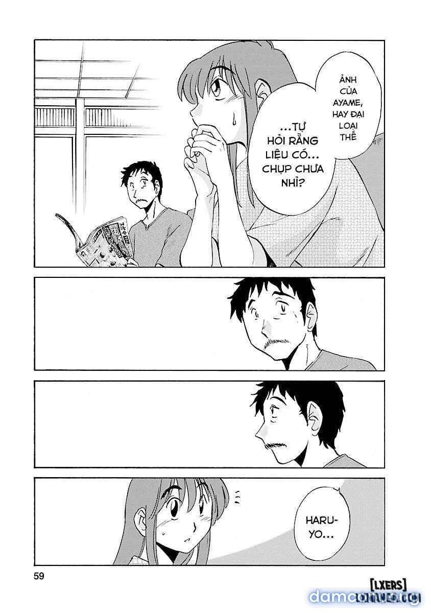 Hirugao 3 