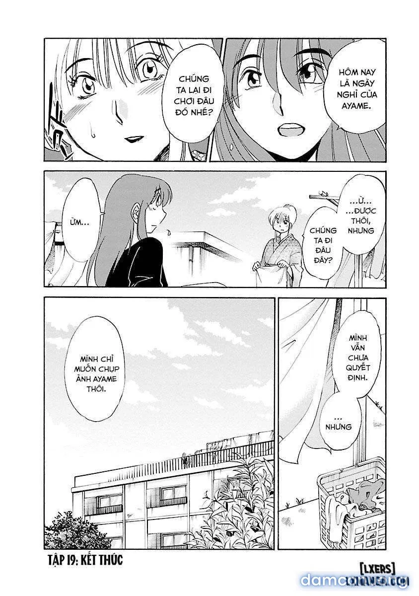Hirugao 3 