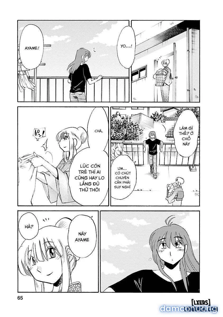 Hirugao 3 