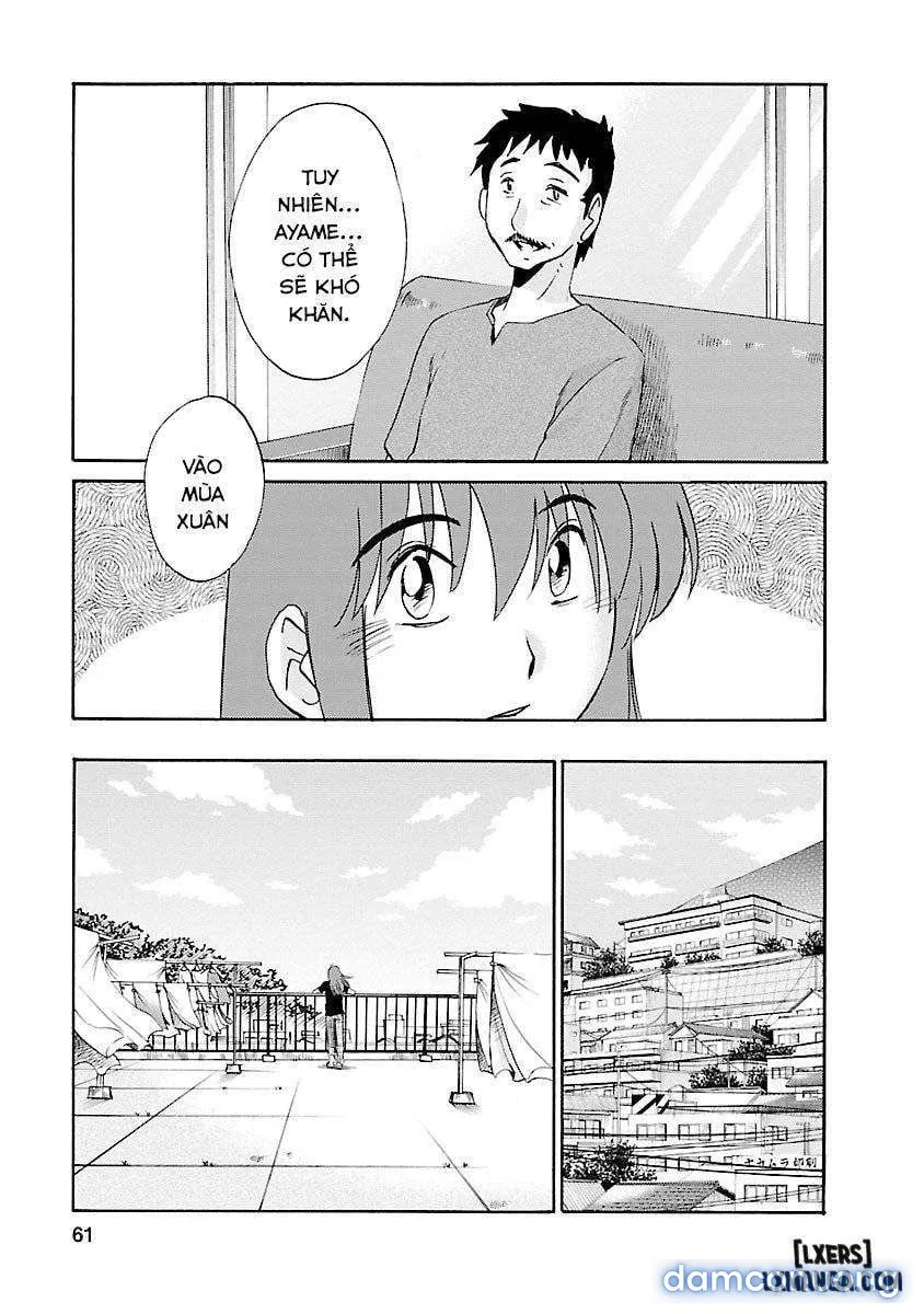 Hirugao 3 
