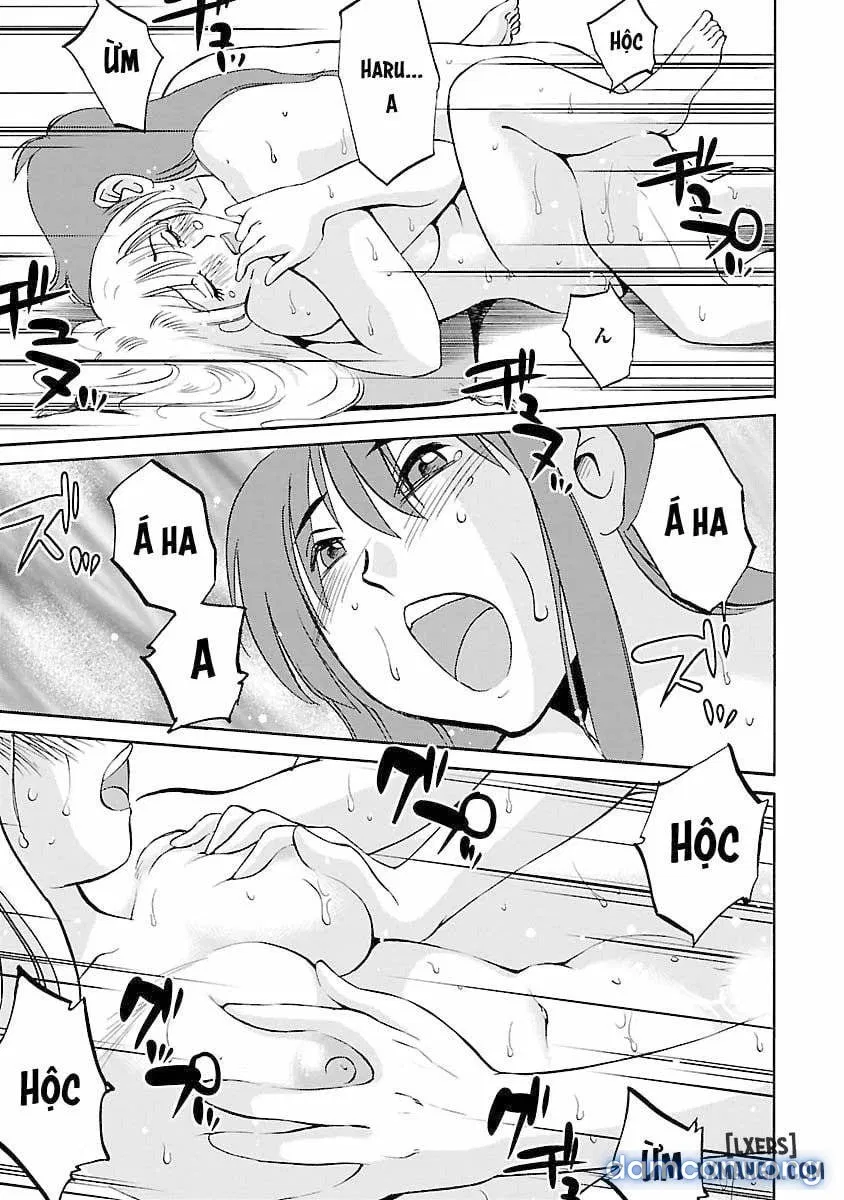 Hirugao 3 