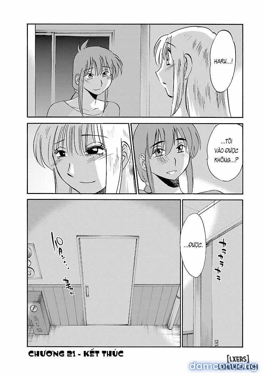 Hirugao 3 