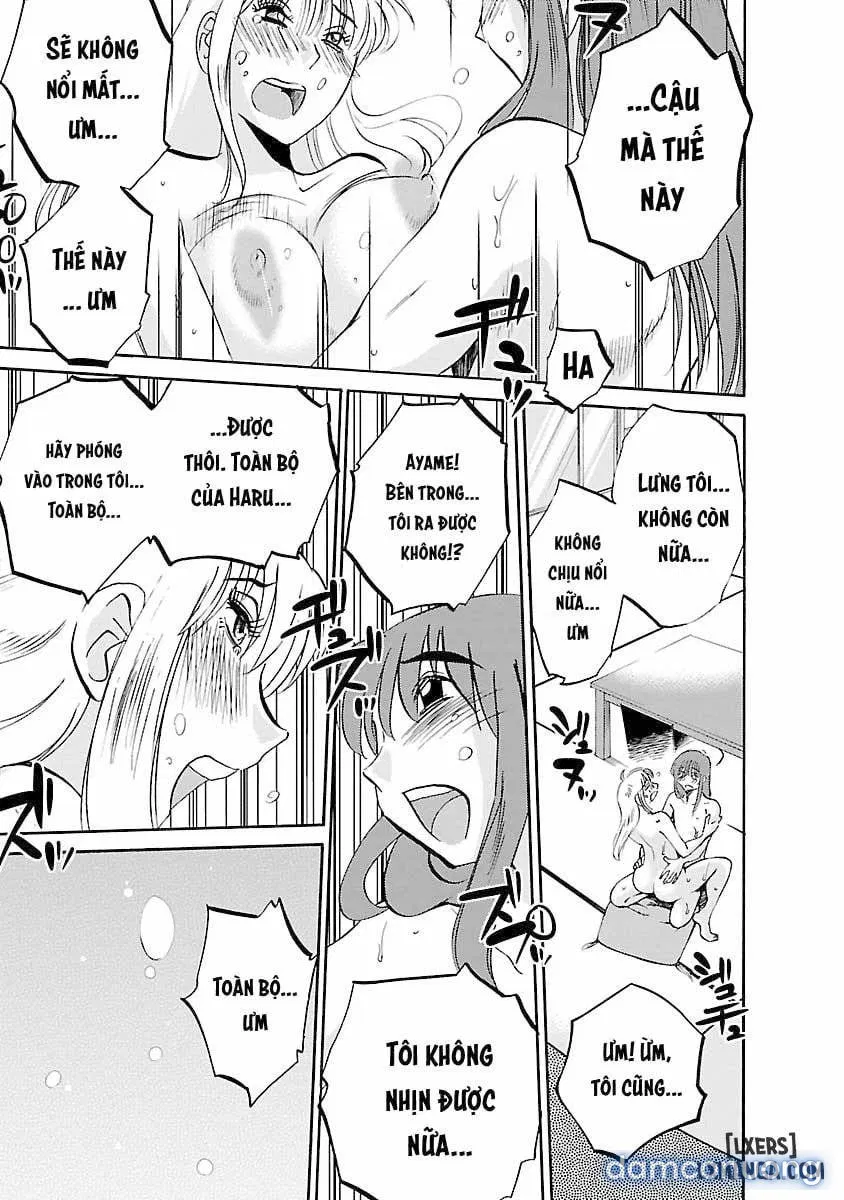 Hirugao 3 