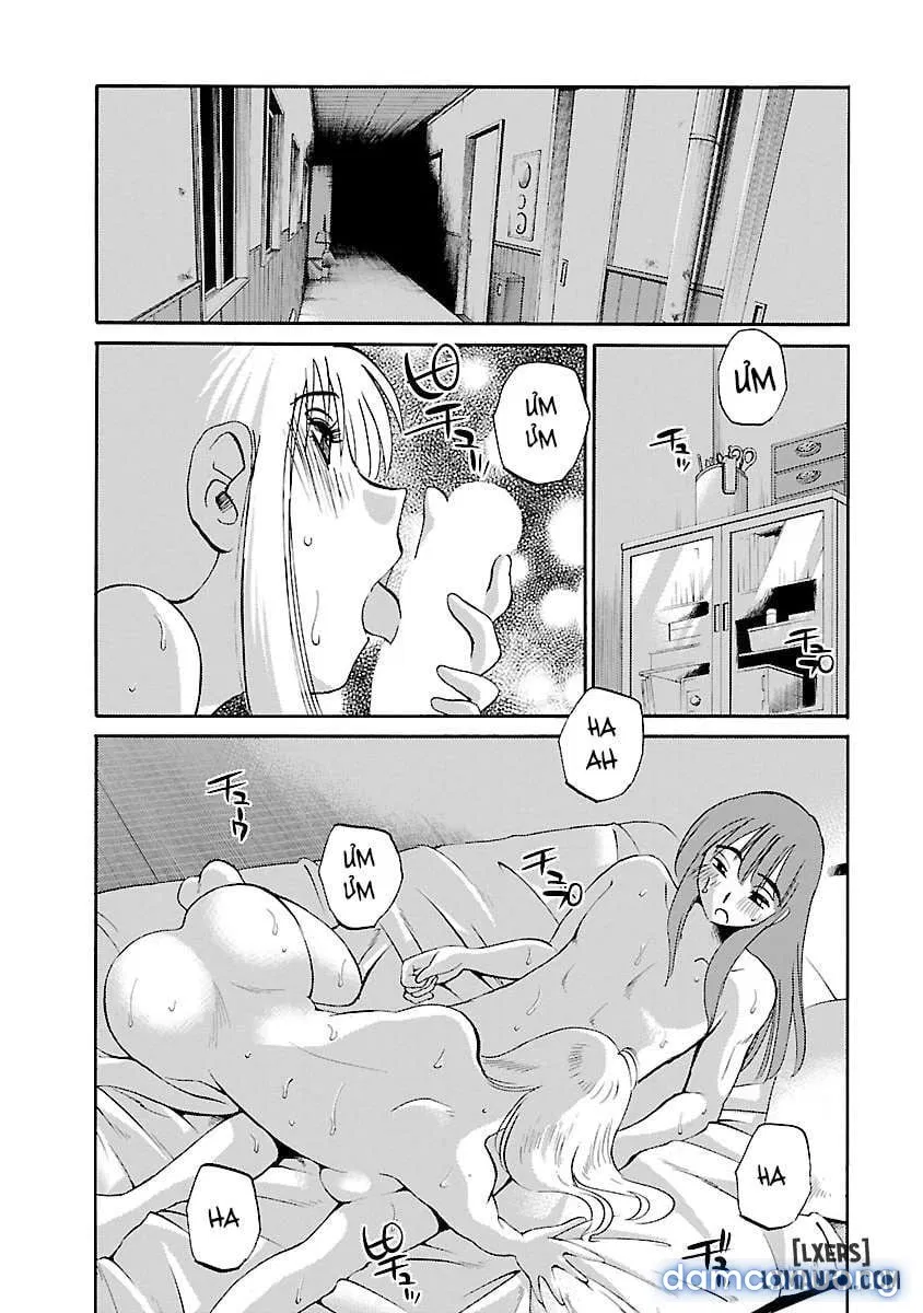 Hirugao 3 