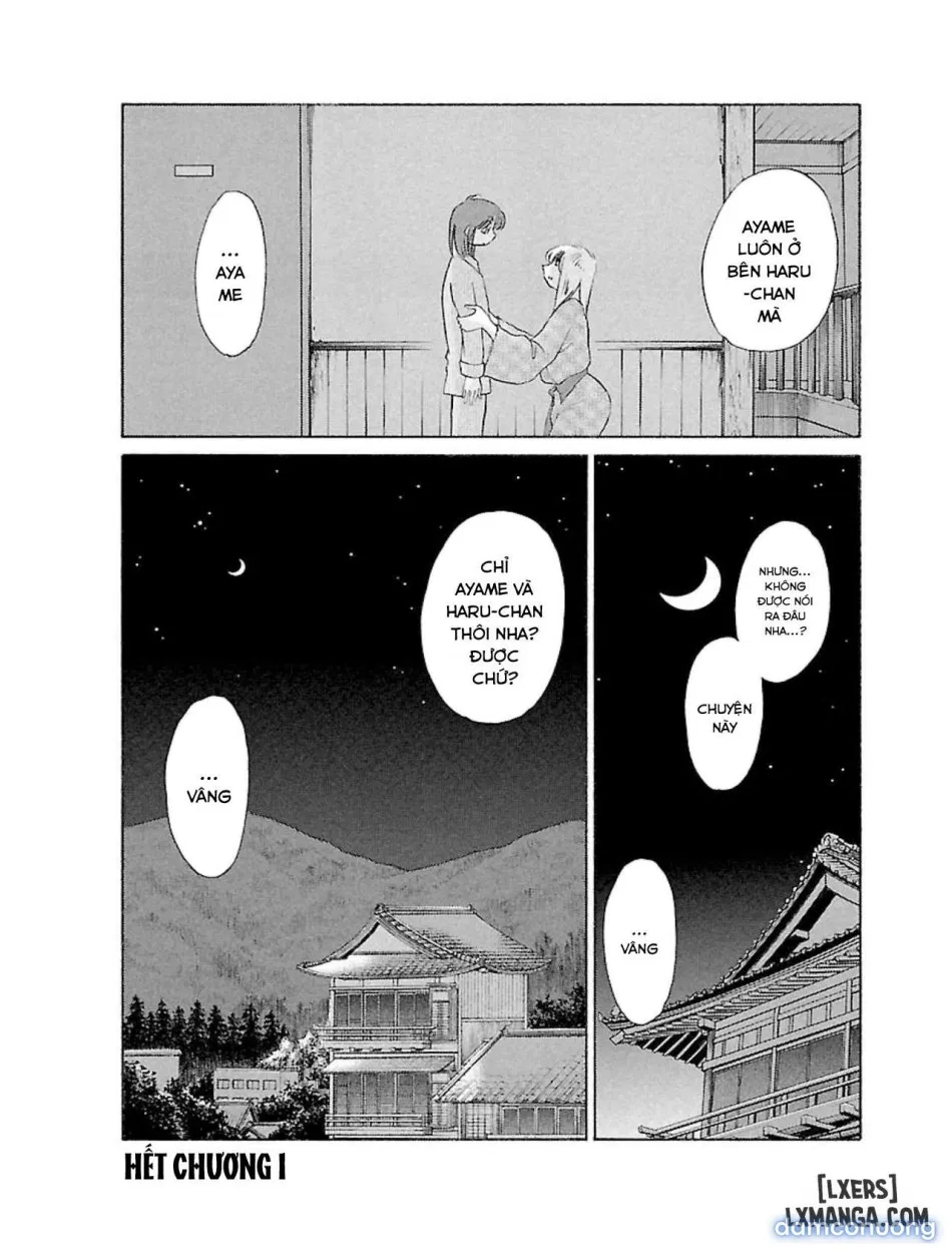 Hirugao 1 
