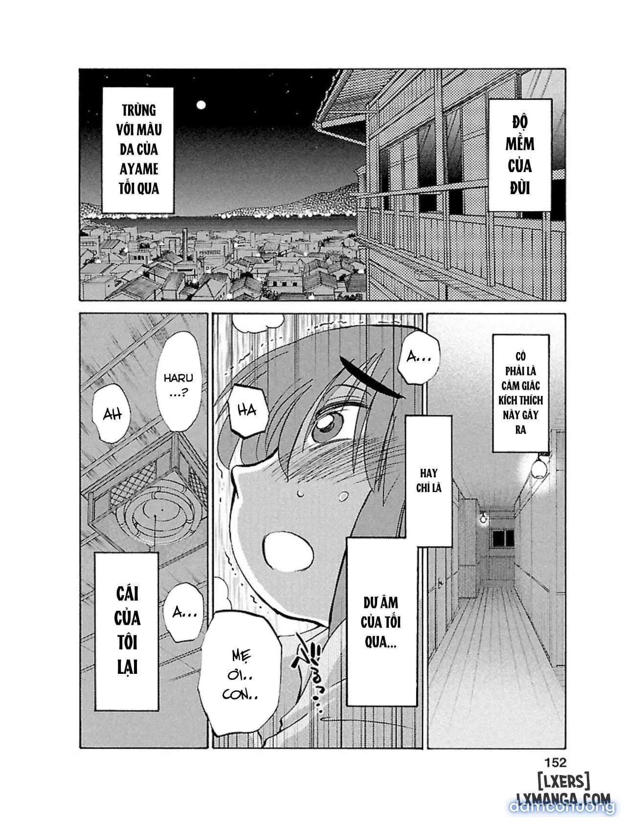 Hirugao 1 