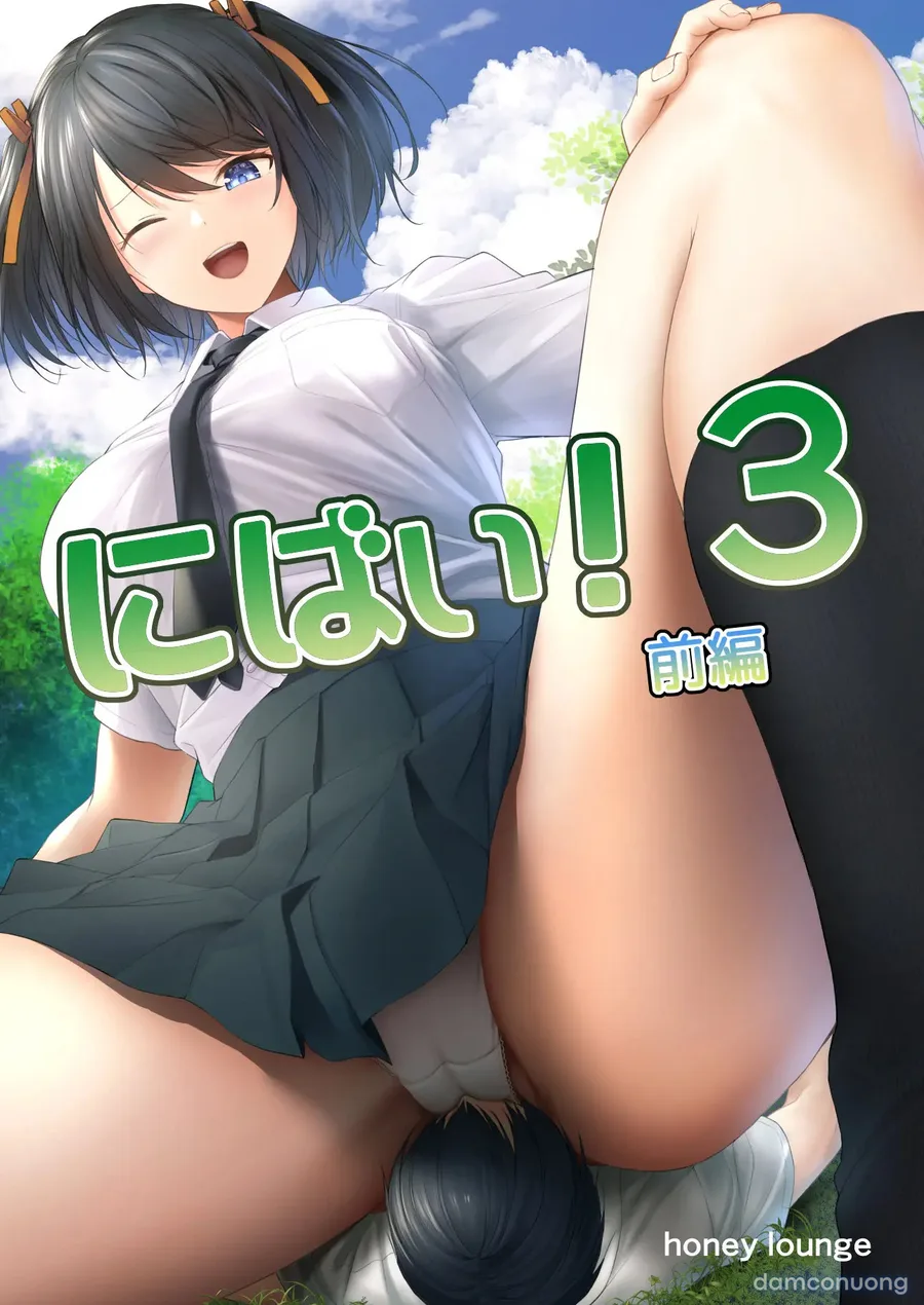 Nibai 3.1 