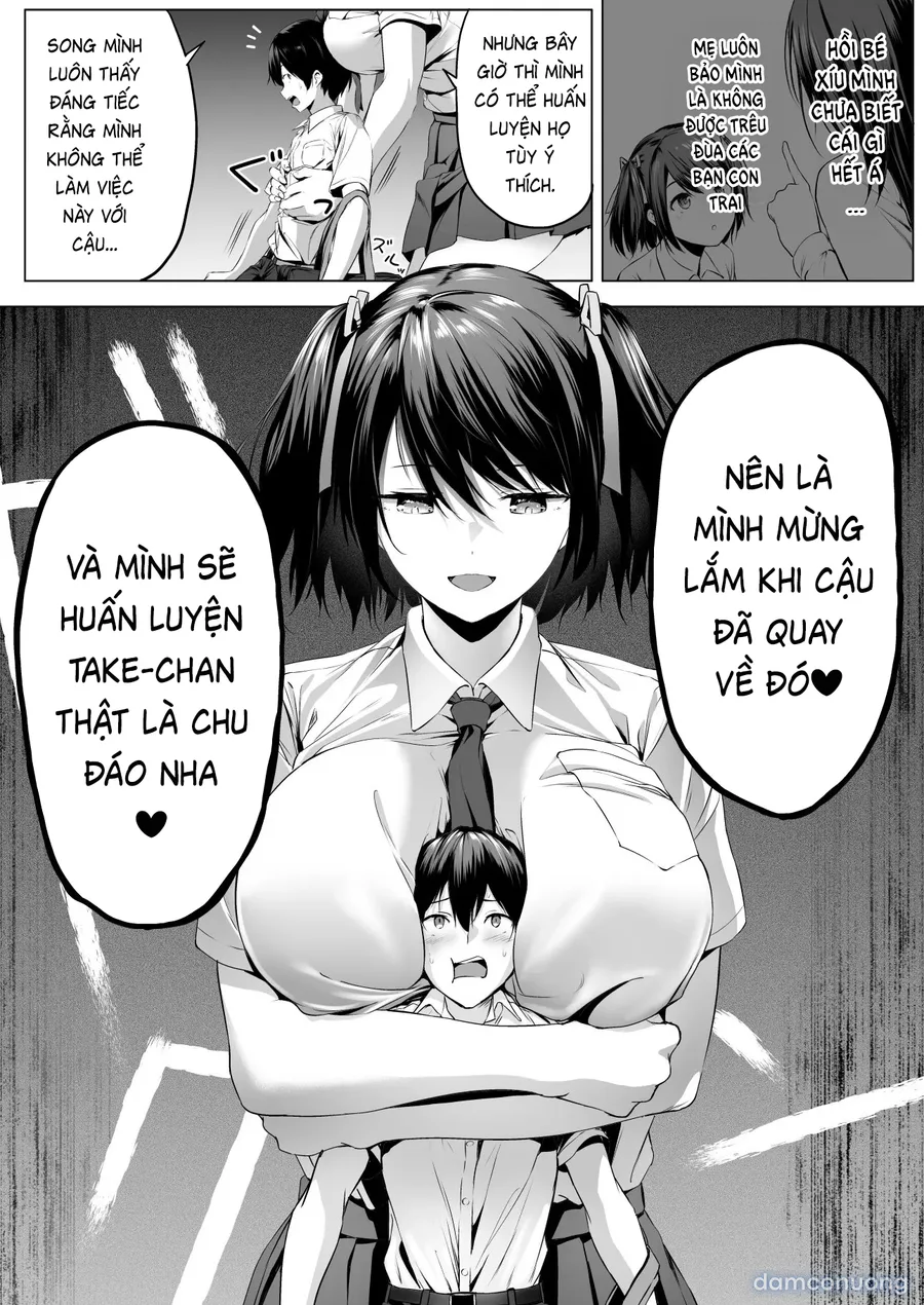 Nibai 3.1 
